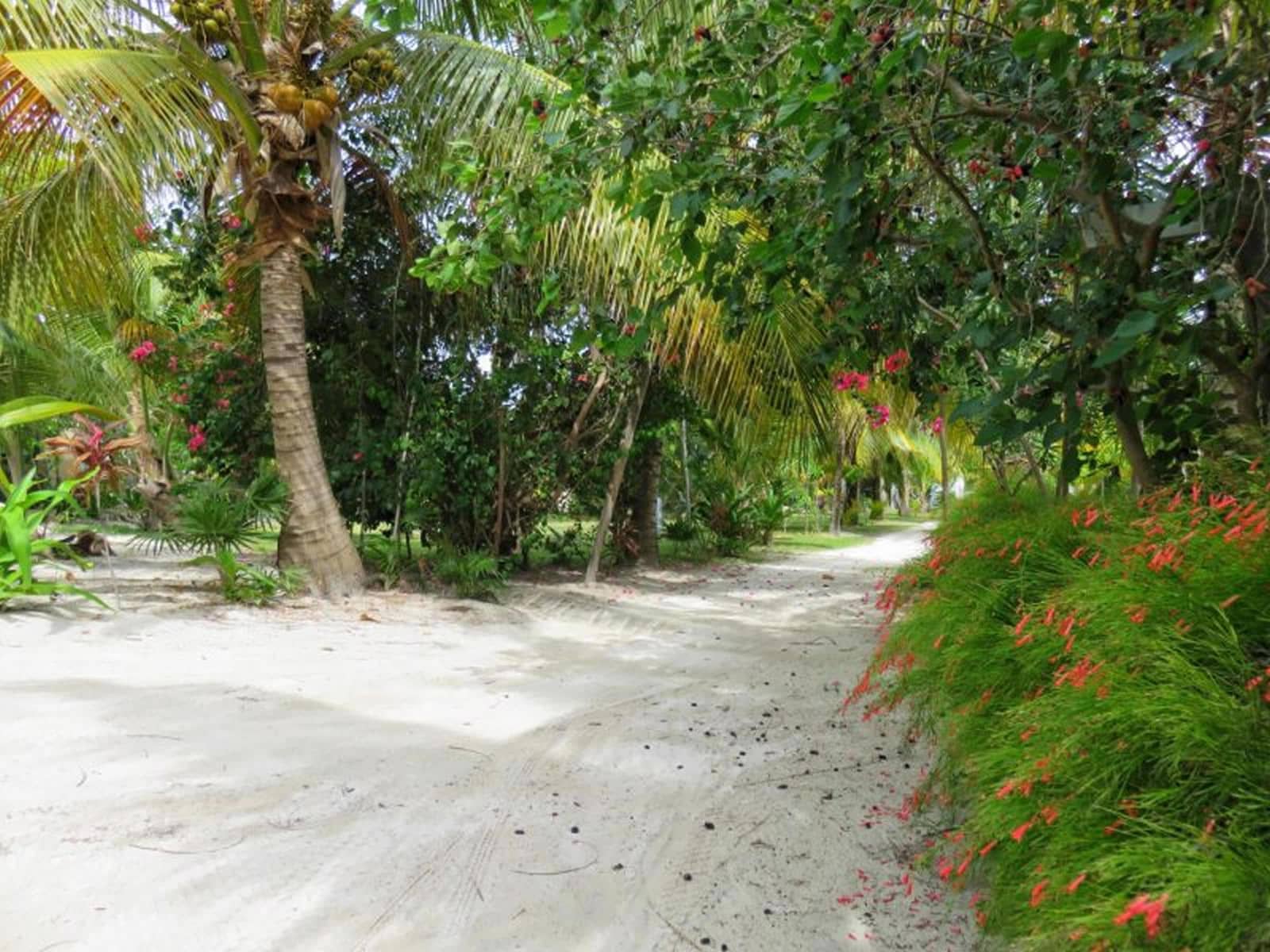 Bedroom Beachfront Property For Sale Ambergris Caye Belize Th