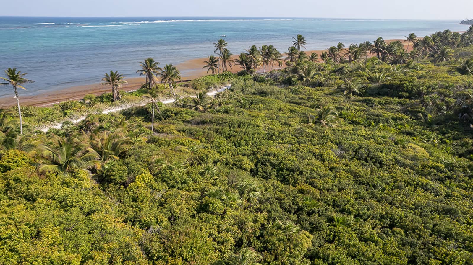 Acre Beachfront Lot For Sale Ambergris Caye Belize Th Heaven