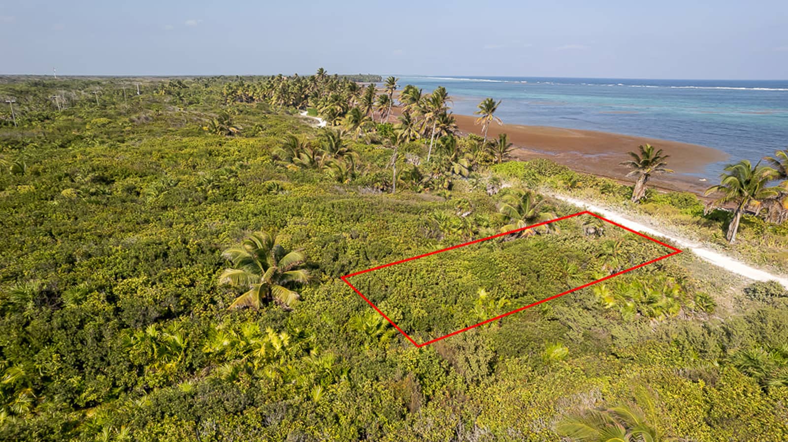 Acre Beachfront Lot For Sale Ambergris Caye Belize Th Heaven