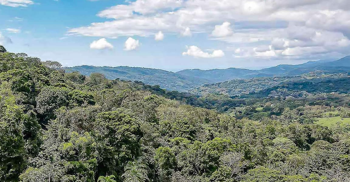 22.5 Hectare (55 Acre) Farm for Sale, Tinamaste, Dominical, Puntarenas