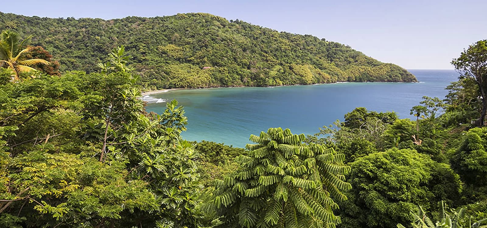 600 Acres of Beachfront Land for Sale, King's Bay, Tobago 7th Heaven