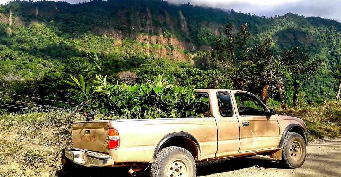 22.5 Hectare (55 Acre) Farm for Sale, Tinamaste, Dominical, Puntarenas