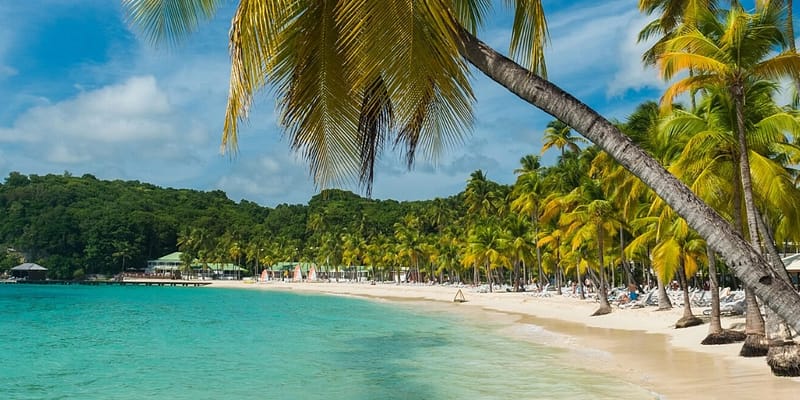 Beautiful beach in Guadeloupe