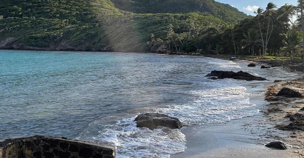 13 Acres of Beachfront Land for Sale, Spring Estate, Bequia 7th