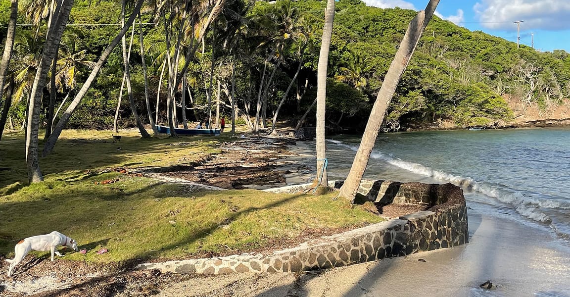 13 Acres of Beachfront Land for Sale, Spring Estate, Bequia 7th Heaven Properties