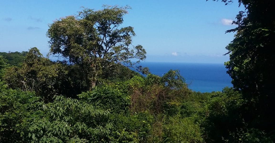 63 Acres of Land for Sale, Montego Bay, Jamaica 7th Heaven Properties