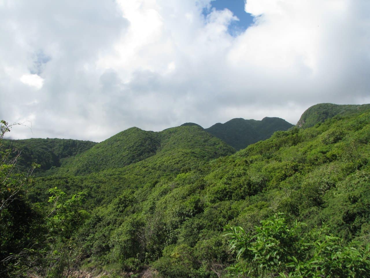 668 Acres of Pristine Land for Sale, Montserrat 7th Heaven Properties