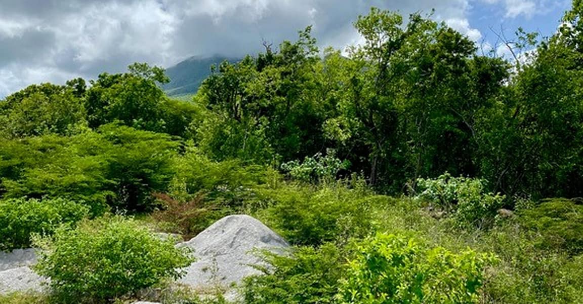 3 Acres of Land for Sale, Clifton Estate, Cades Bay, Nevis 7th Heaven