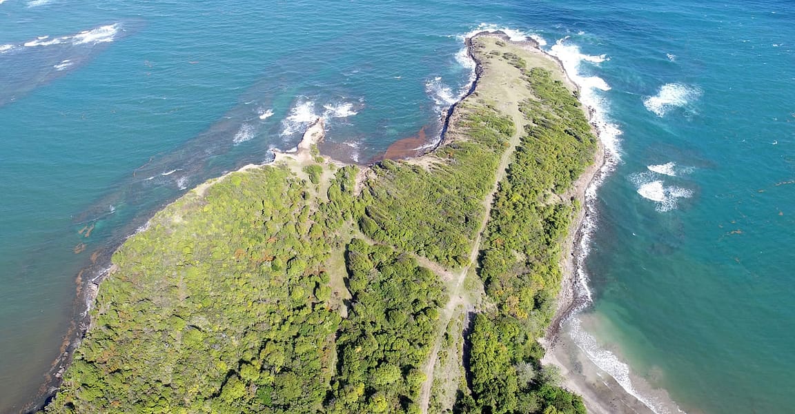 3 Acres of Waterfront Land for Sale, La Tante, St David's, Grenada
