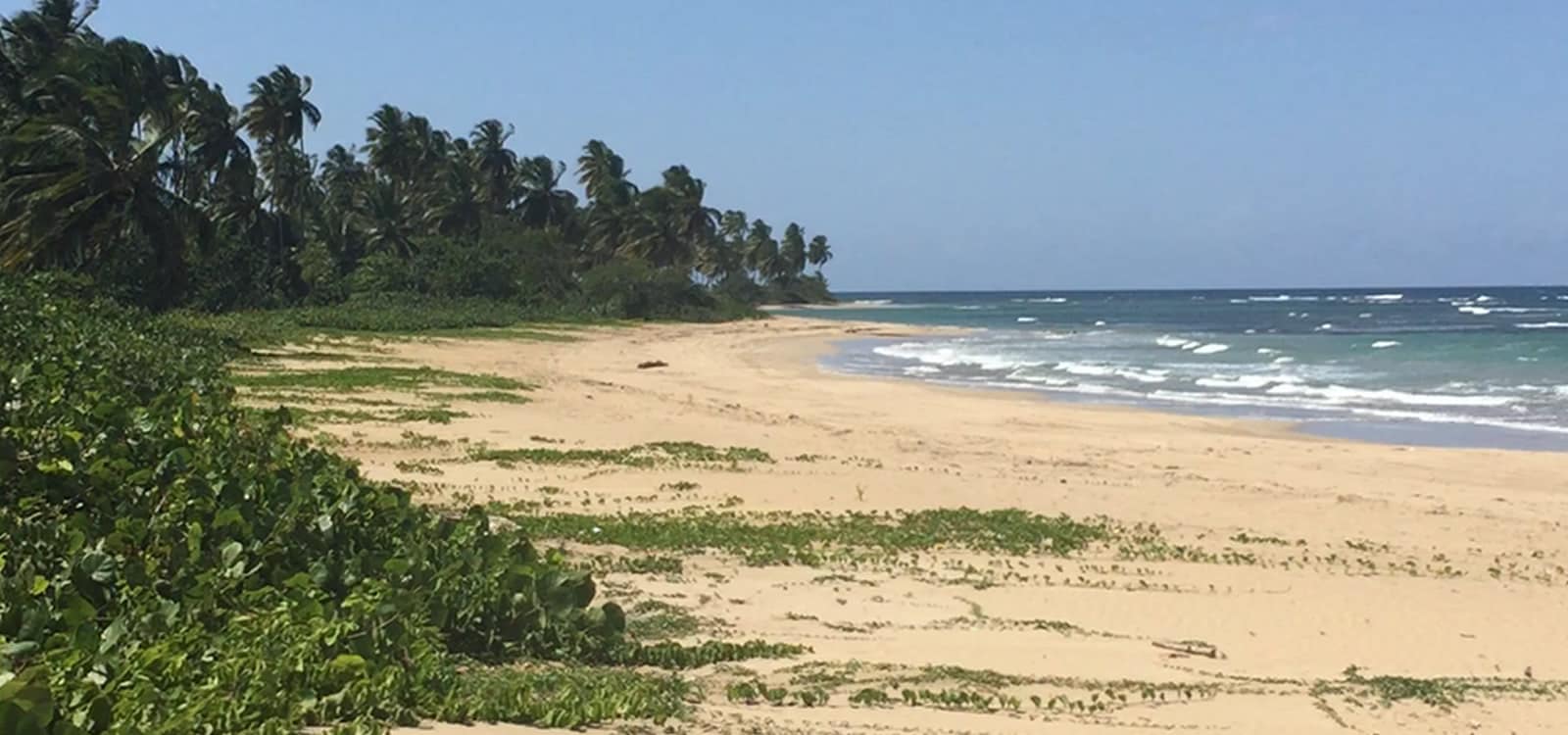 0.51 Acres of Beachfront Land for Sale near Las Terrenas, Samana