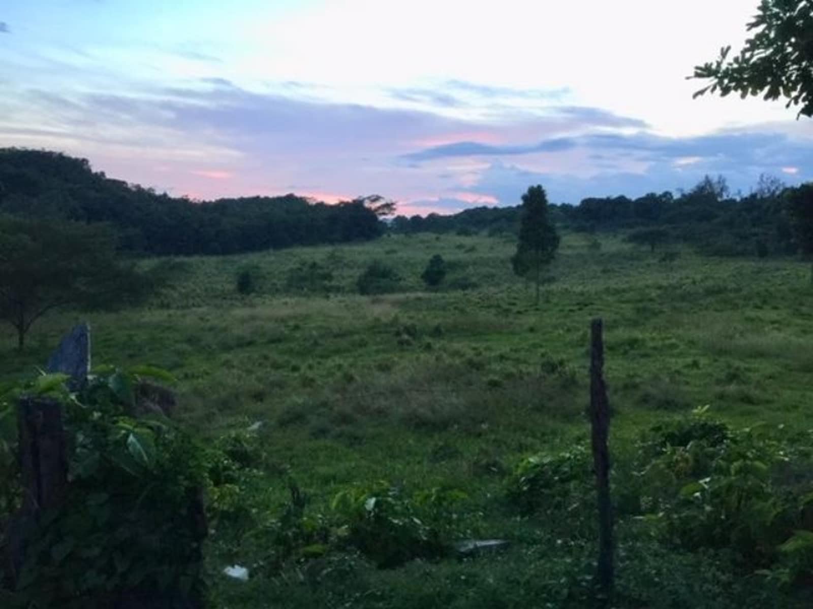 183 Acres of Agricultural / Farm Land for Sale, Brampton, Trelawny