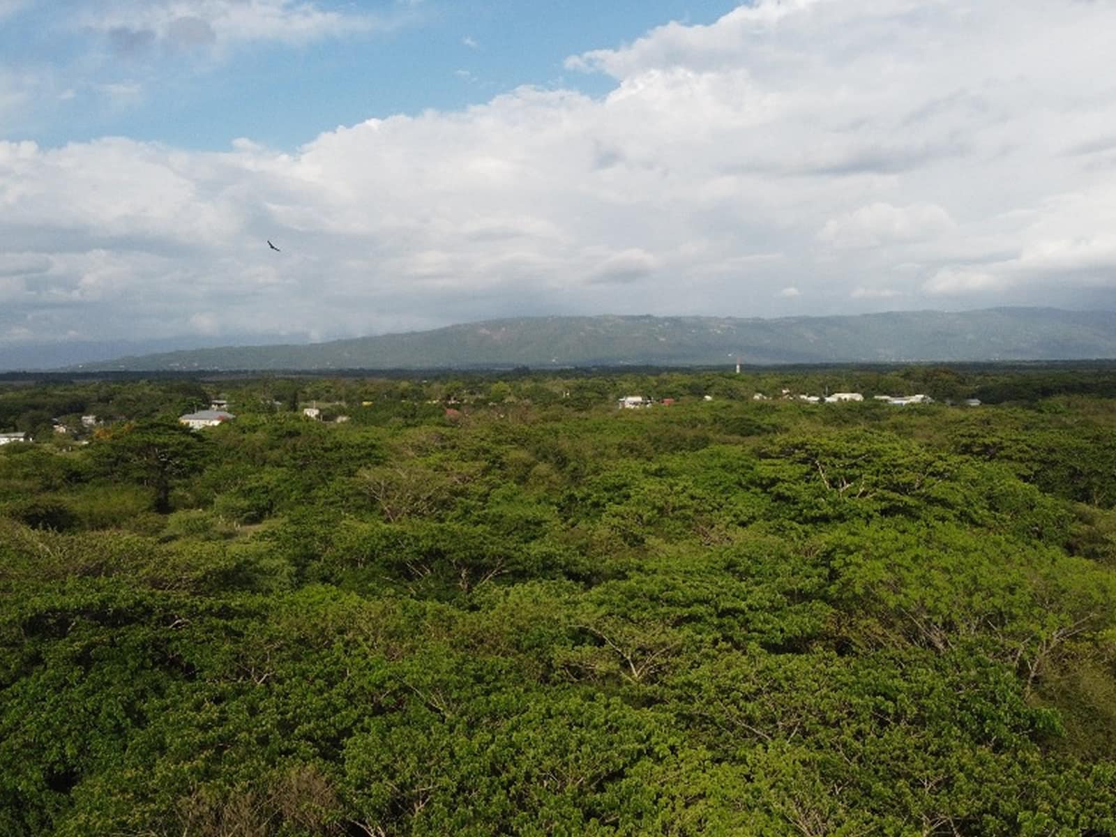 5 Acres of Land for Sale, Black River, St Elizabeth, Jamaica 7th