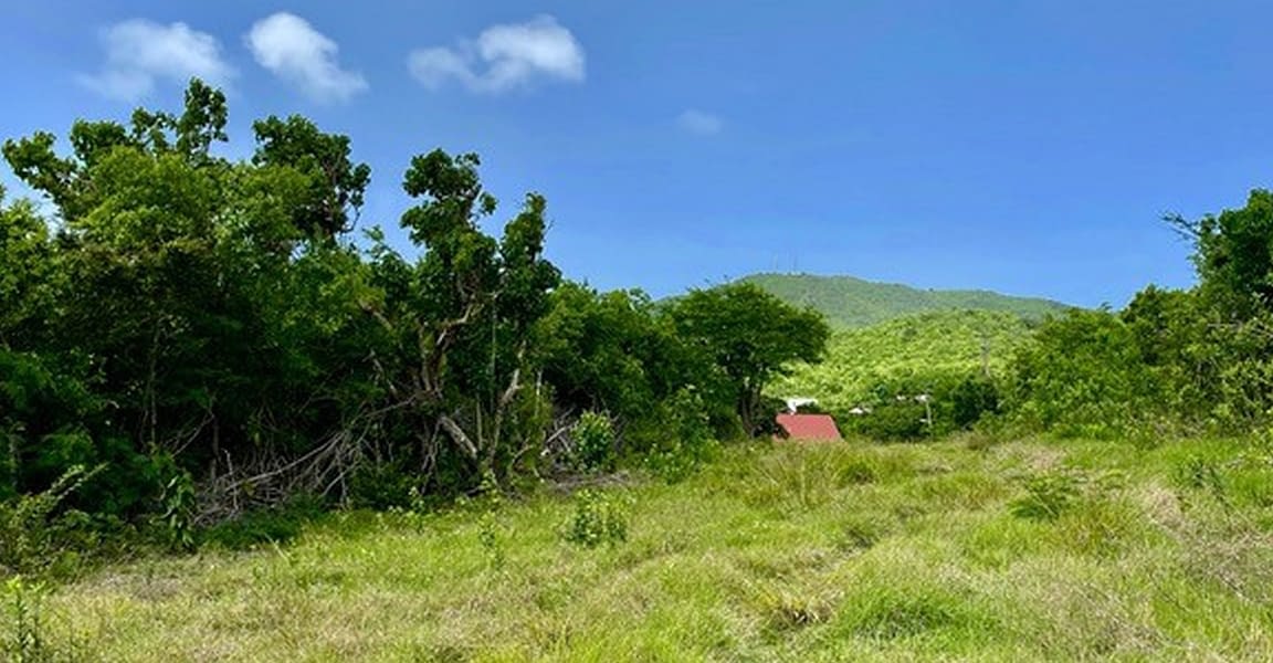 3 Acres of Land for Sale, Clifton Estate, Cades Bay, Nevis 7th Heaven