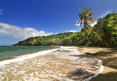 Beach in Dominica