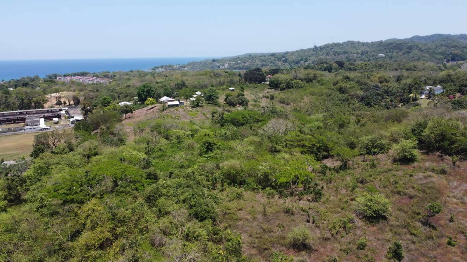 4.6 Acres of Land for Sale, Green Island, Hanover, Jamaica 7th Heaven