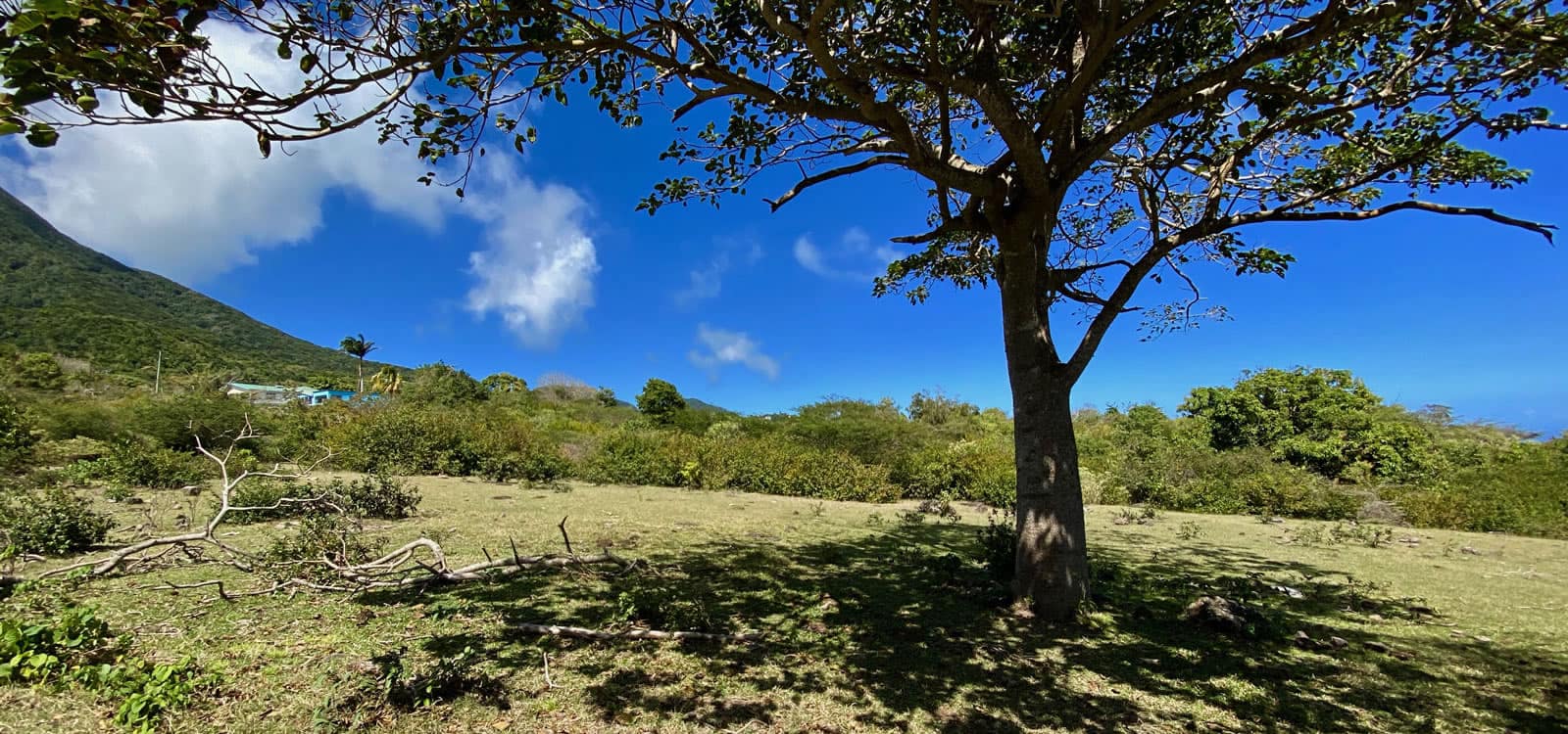 11 Acres of Land for Sale, Gingerland, Nevis 7th Heaven Properties
