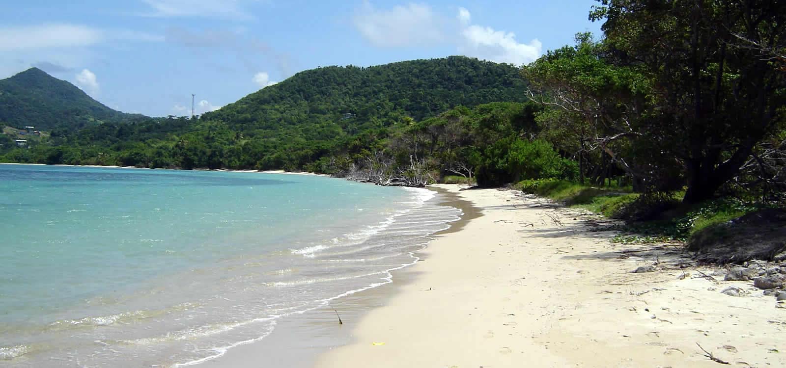 11.5 Acres of Beachfront Land for Sale, Carriacou, Grenada Grenadines