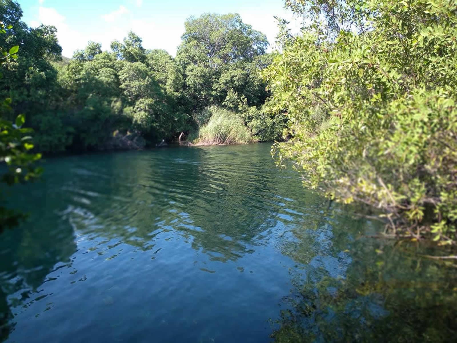 36 Acres of Beachfront Land for Sale, Alligator Pond, Manchester