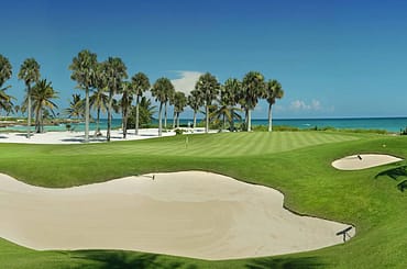 Luxury Beachfront Apartments for Sale, Cap Cana, Dominican Republic - golf course