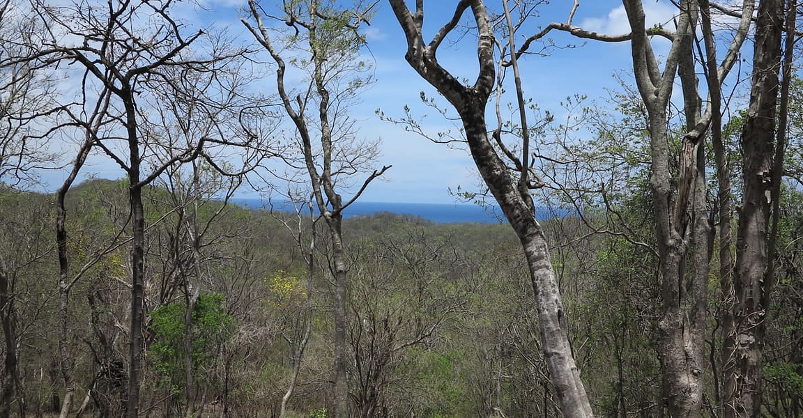 0.89 Acre Lot of Land for Sale in Rancho Santana, Nicaragua 7th