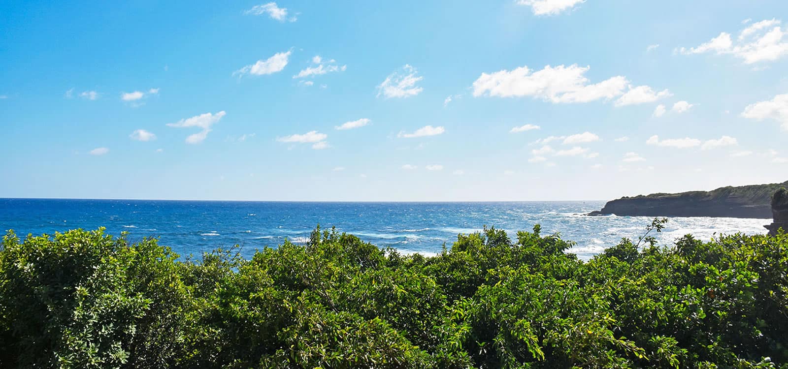 4 Bedroom Home for Sale, Belle Isle, Grenada 7th Heaven Properties