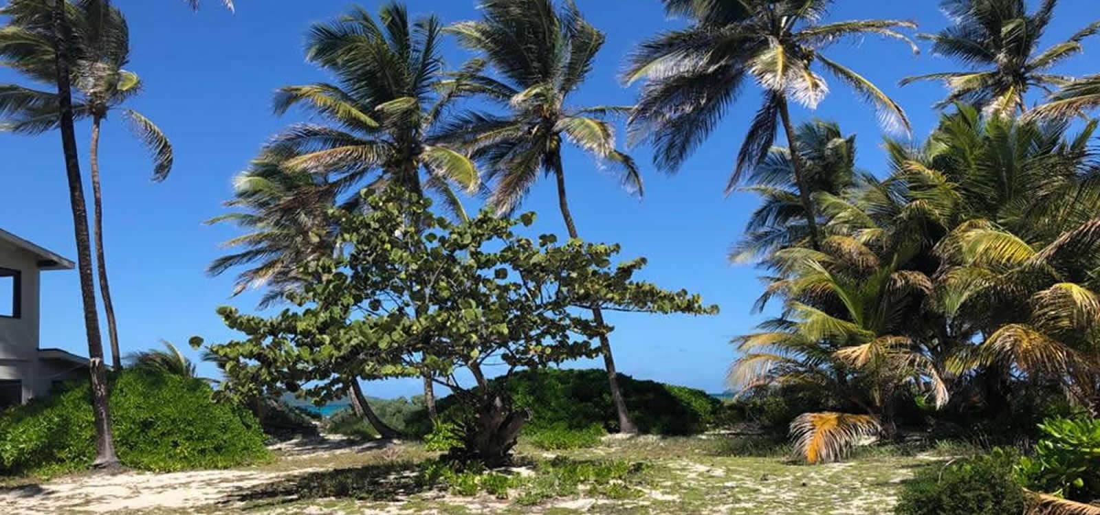 0.27 Acre Beachfront Lot for Sale, Palm Island, Grenadines 7th Heaven