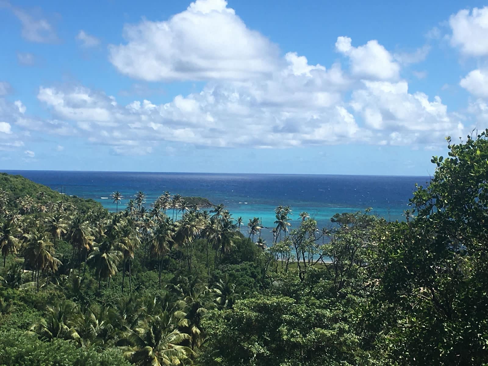 13 Acres of Beachfront Land for Sale, Spring Estate, Bequia 7th