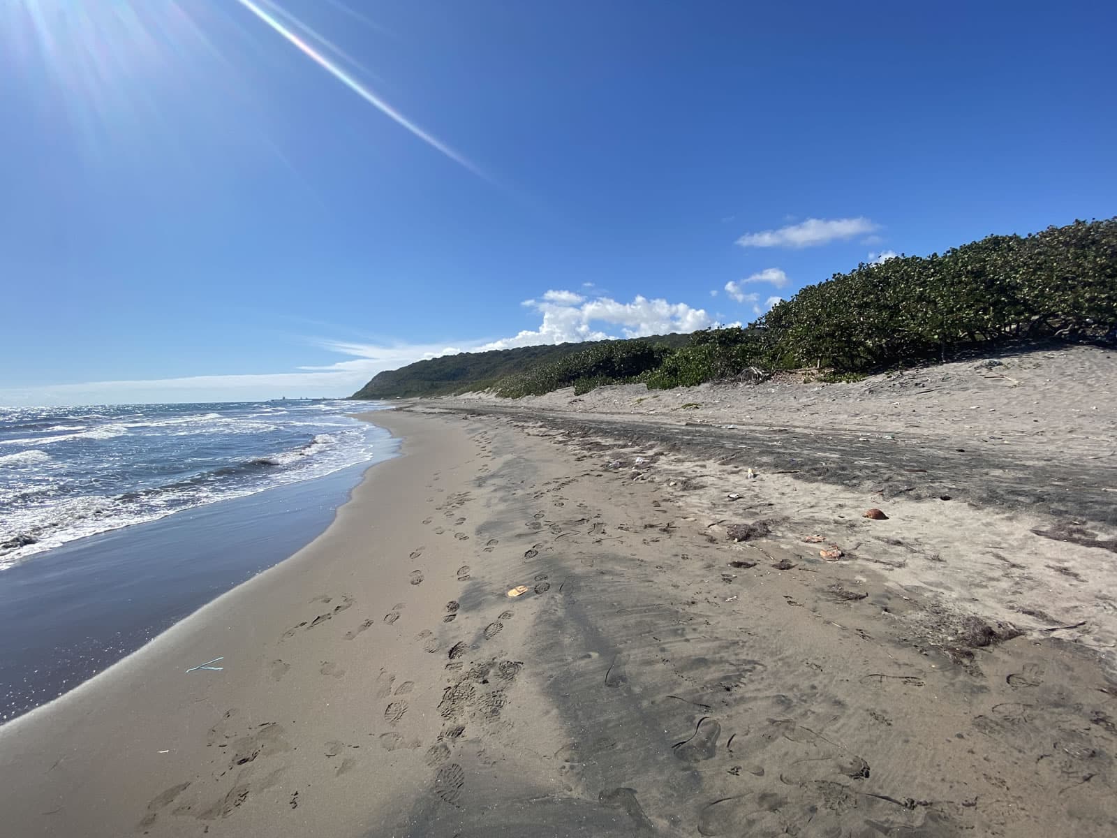 36 Acres of Beachfront Land for Sale, Alligator Pond, Manchester