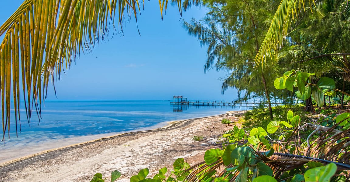 0.67 Acres of Beachfront Land for Sale, Palmetto Point, Roatan 7th