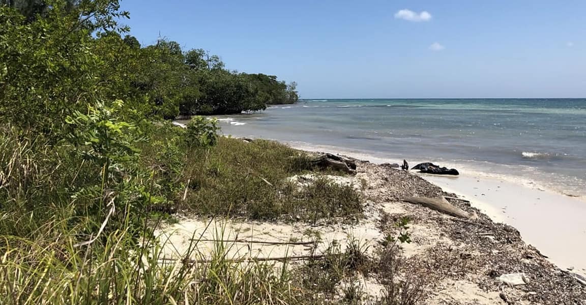 37 Acre Island for Sale, Punta Gorda, Belize 7th Heaven Properties