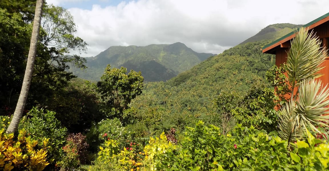 9.87 Acres of Development Land for Sale, Soufriere, St Lucia 7th