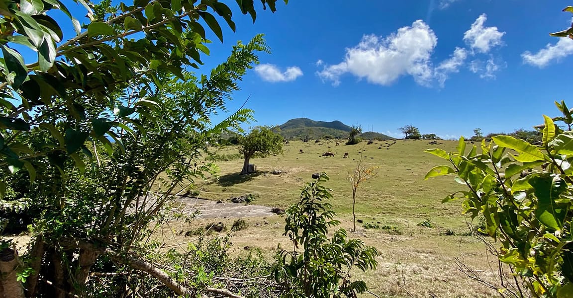 20 Acres of Land for Sale, Gingerland, Nevis 7th Heaven Properties