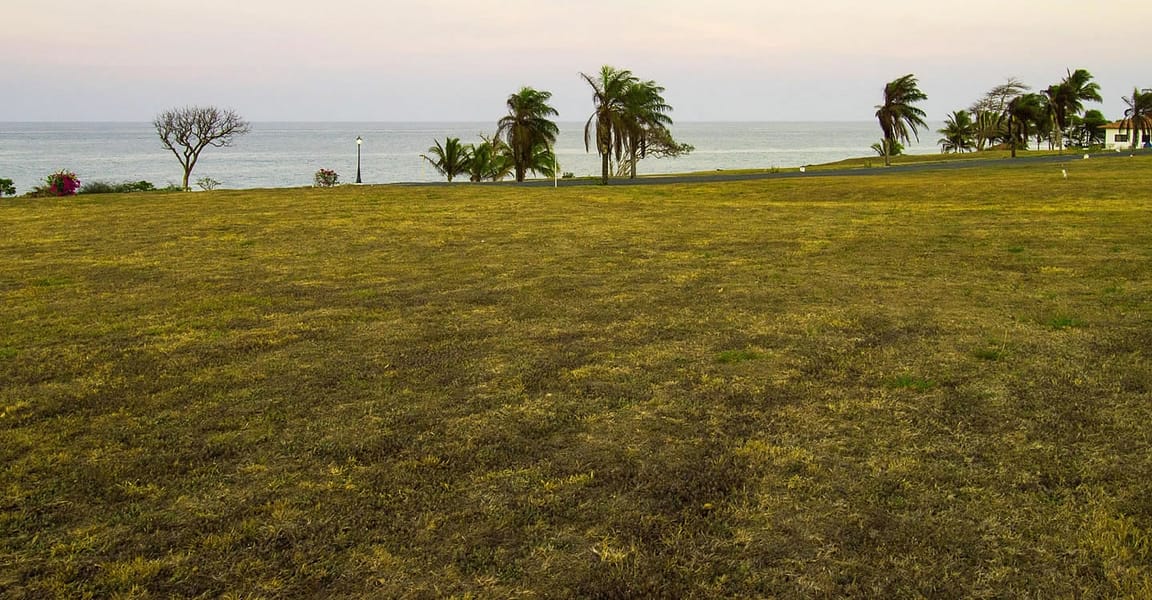 0.2 Acre Lot for Sale, Andromeda, Pedasi, Panama 7th Heaven Properties