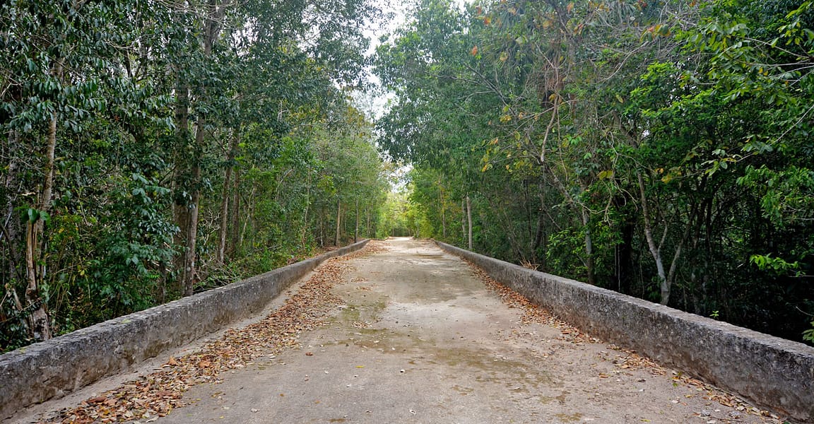 4 Bedroom Home for Sale, Los Arboles, Tulum, Mexico 7th Heaven Properties