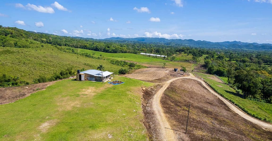 132 Acre Hemp Farm for Sale, Darliston, Westmoreland, Jamaica 7th