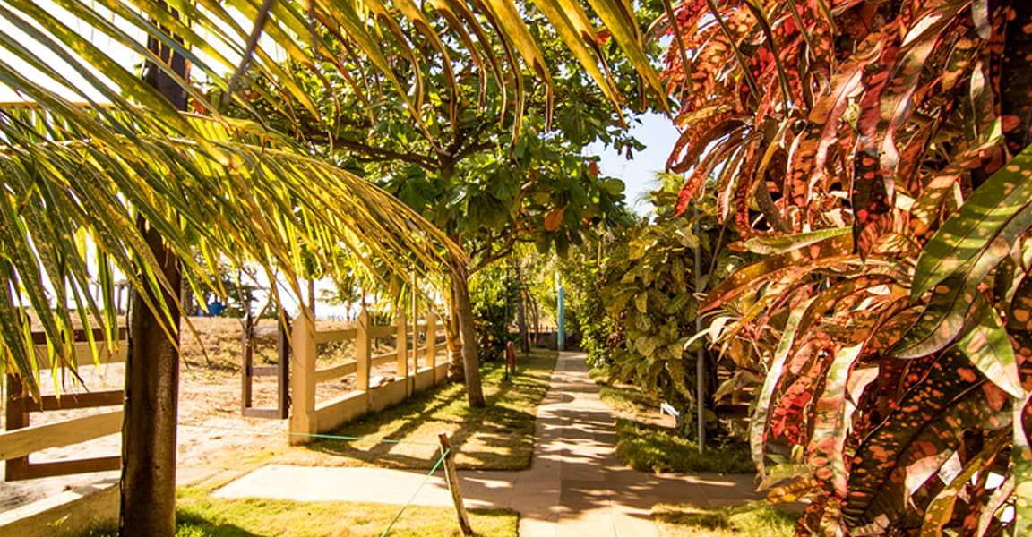 6Room Beachfront Hotel for Sale, Popoyo, Rivas, Nicaragua 7th Heaven