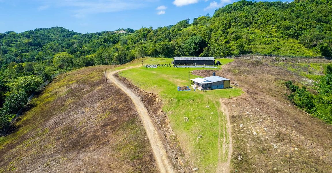 132 Acre Hemp Farm for Sale, Darliston, Westmoreland, Jamaica 7th Heaven Properties