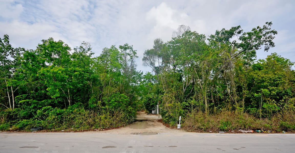 3,031 Square Meters of Land for Sale, Tulum, Riviera Maya, Mexico 7th