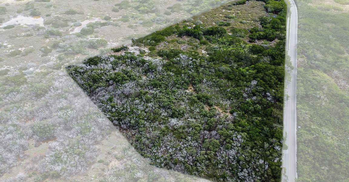 16 Acres of Land for Sale, Chicxulub Puerto, Merida, Yucatan, Mexico