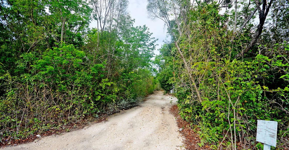 3,031 Square Meters of Land for Sale, Tulum, Riviera Maya, Mexico 7th