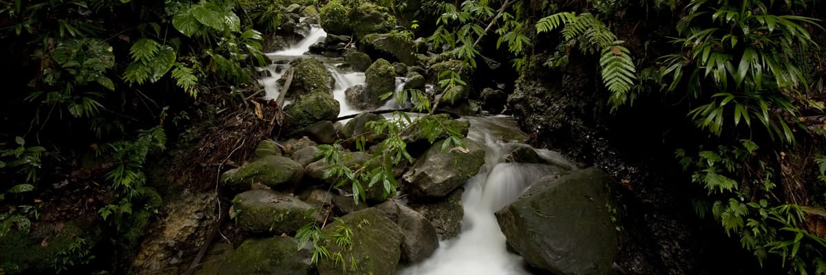 Waterfall in Dominica