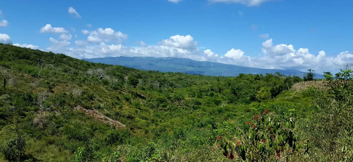 Agricultural land for sale in the Dominican Republic