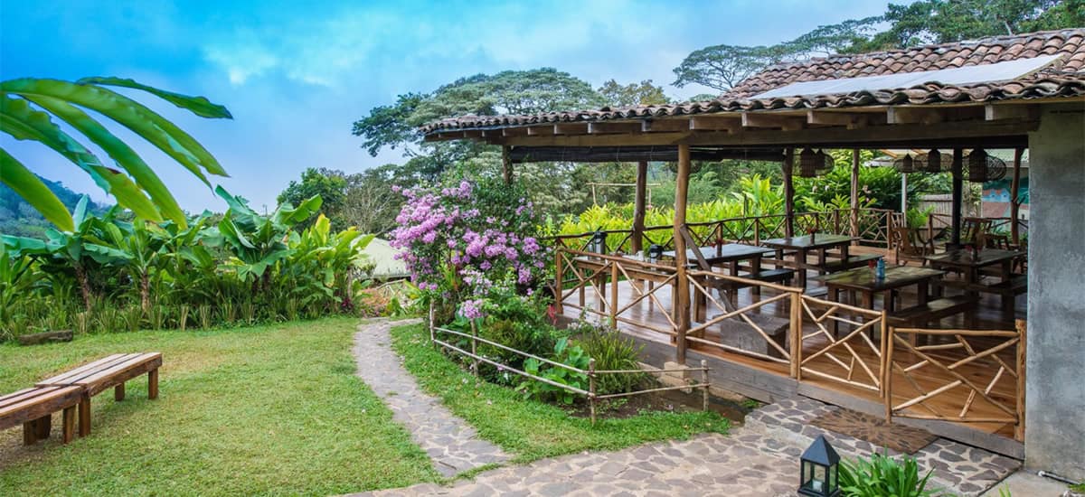 Coffee farm for sale in Nicaragua