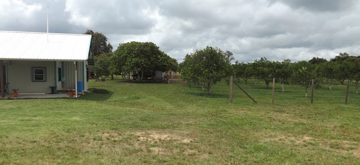 Farm for sale in Belize
