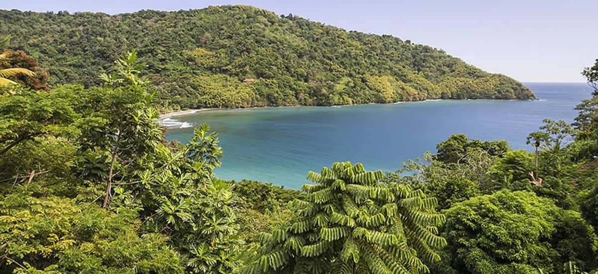 600 Acres of Beachfront land for sale in King’s Bay, Tobago