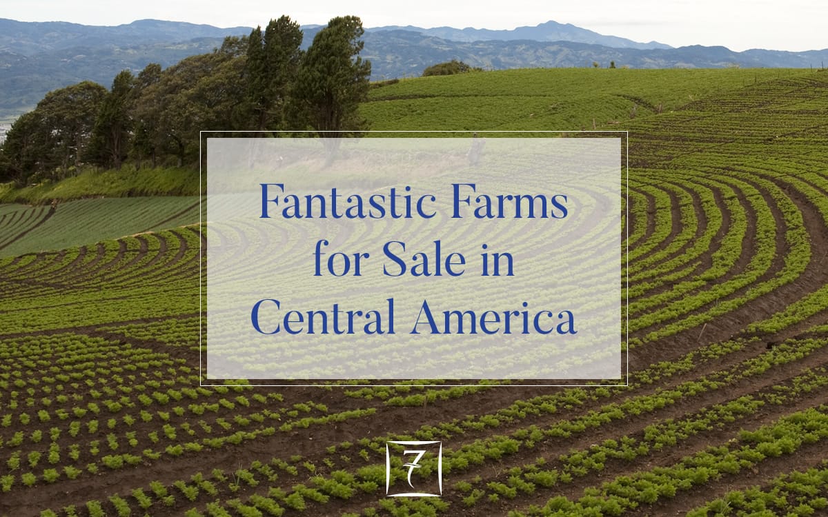 Fantastic farms for sale in Central America