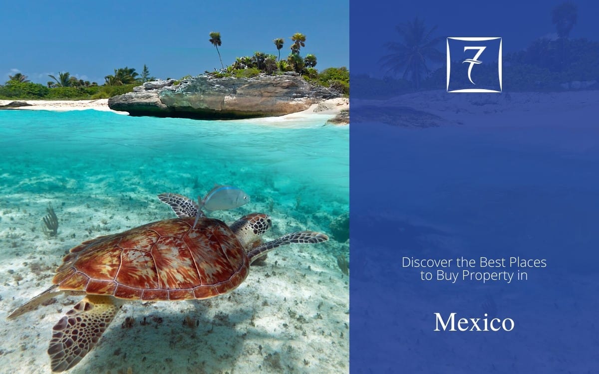Discover the best places to buy property in Mexico
