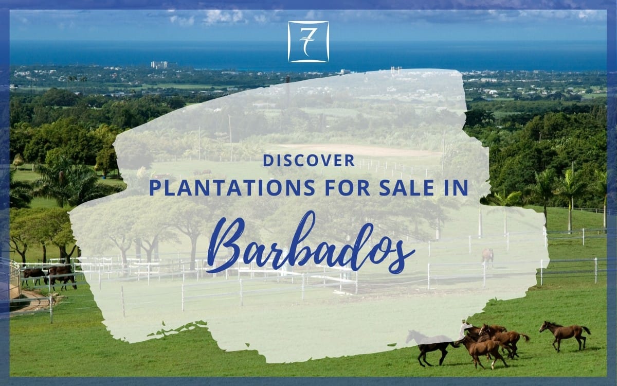 Plantations for Sale in Barbados 7th Heaven Properties