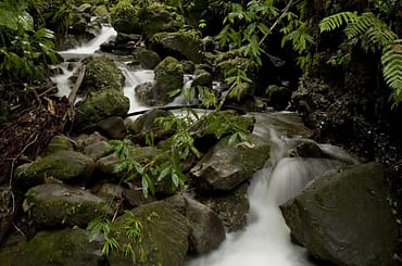 Waterfall in Dominica