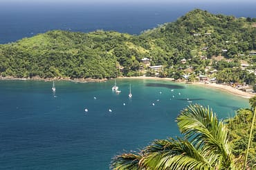 Trinidad & Tobago